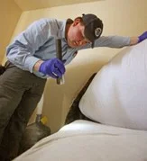 Extermination punaise de lit Extermination punaise de lit