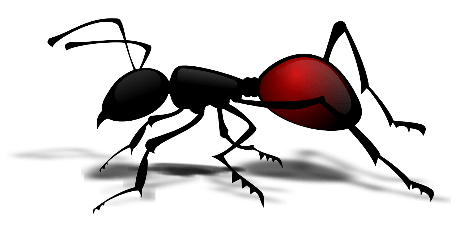 Fourmis Exterminateur Biz