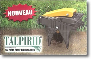 méthodes pour contrôler et éliminer les taupes