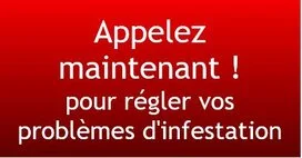 Faite appel à notre entreprise Biz Exterminateur à Laval Faite appel à notre entreprise Biz Exterminateur à Laval