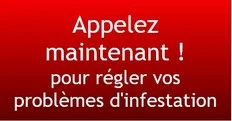 Faite appel à notre entreprise Biz Exterminateur à Repentigny Faite appel à notre entreprise Biz Exterminateur à Repentigny